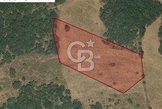 Balıkesir Kepsut Örenli'de 6.432 m² Yatırım Değeri Yüksek Arsa - 4 - 313145