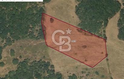Balıkesir Kepsut Örenli'de 6.432 m² Yatırım Değeri Yüksek Arsa