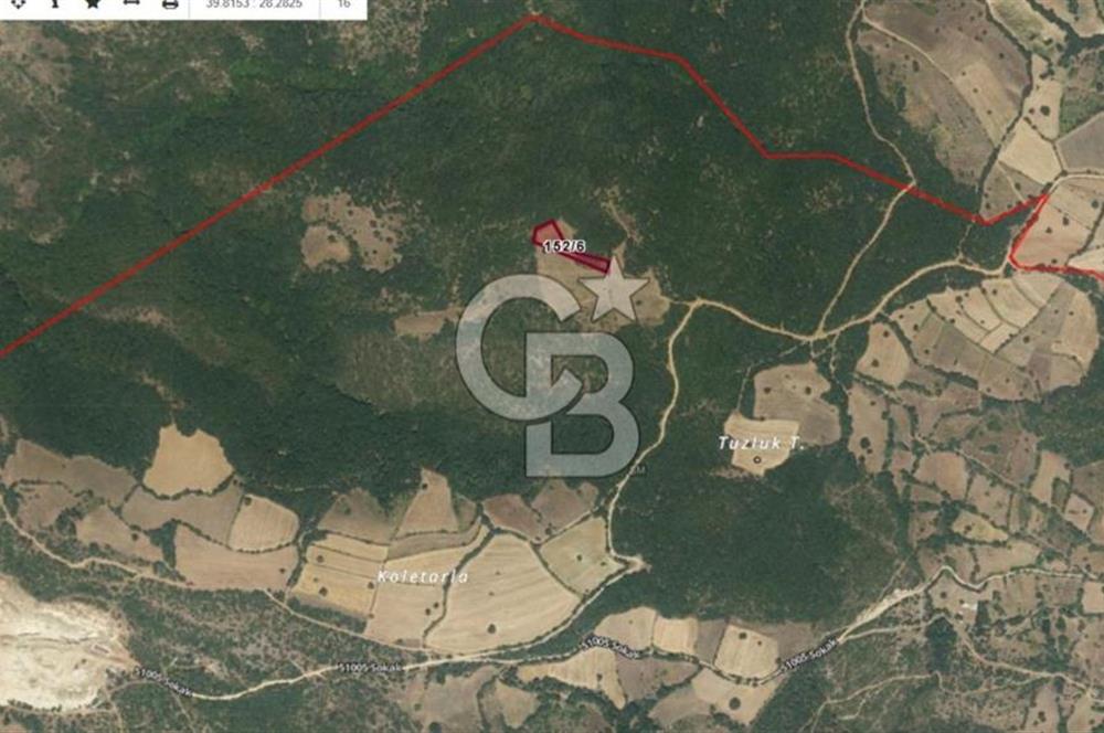 Balıkesir Kepsut Örenli Mevkiinde 2.552 m² Arsa