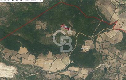 Balıkesir Kepsut Örenli Mevkiinde 2.552 m² Arsa