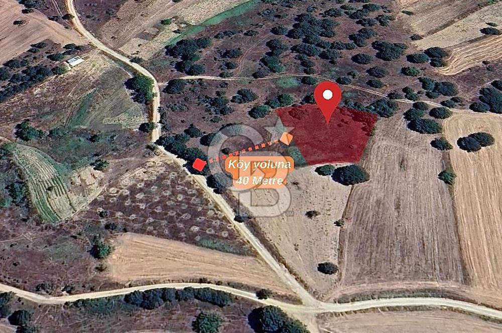 Gelişen Bölge, Değer Kazanan Tarla  | Orhaneli – Argın