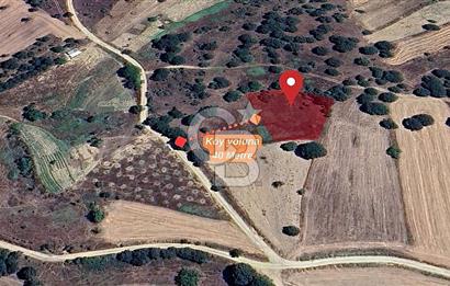 Gelişen Bölge, Değer Kazanan Tarla  | Orhaneli – Argın