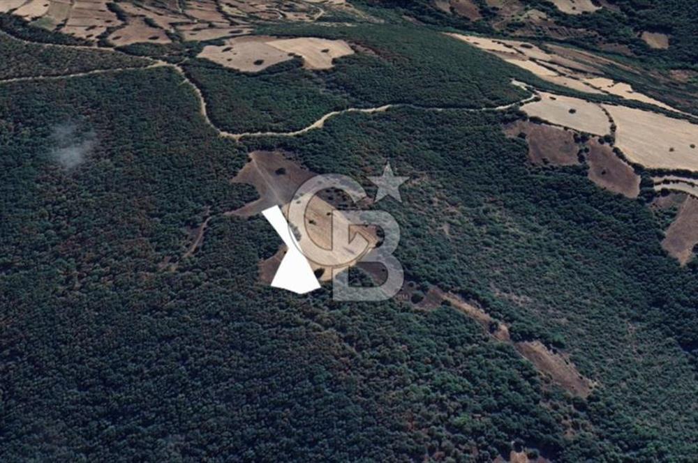 Balıkesir Kepsut Örenli Mevkiinde 2.552 m² Arsa