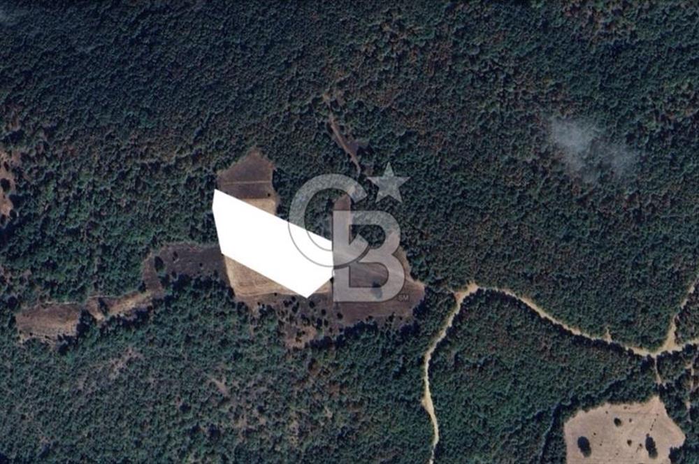 Balıkesir Kepsut Örenli'de 6.432 m² Yatırım Değeri Yüksek Arsa