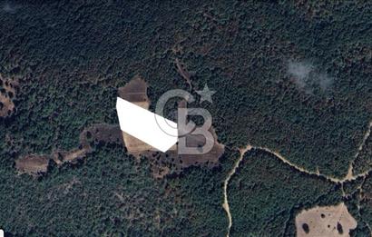 Balıkesir Kepsut Örenli'de 6.432 m² Yatırım Değeri Yüksek Arsa