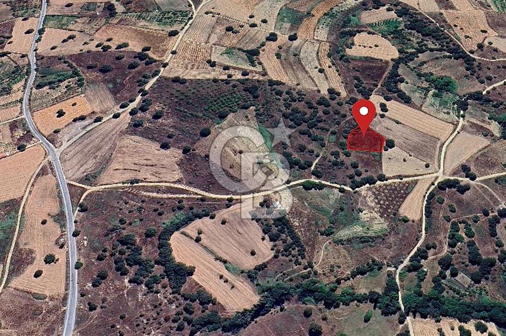 Gelişen Bölge, Değer Kazanan Tarla  | Orhaneli – Argın