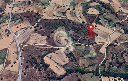 Gelişen Bölge, Değer Kazanan Tarla  | Orhaneli – Argın