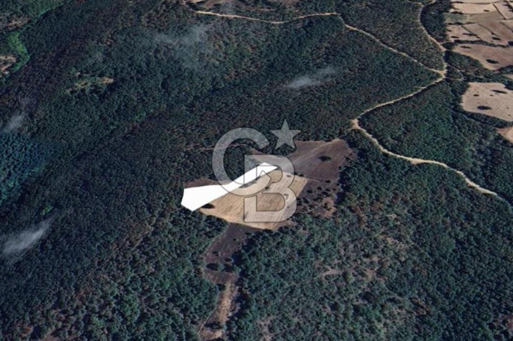 Balıkesir Kepsut Örenli Mevkiinde 2.552 m² Arsa