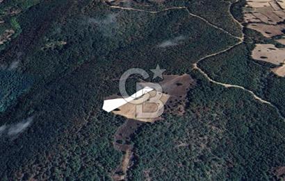 Balıkesir Kepsut Örenli Mevkiinde 2.552 m² Arsa