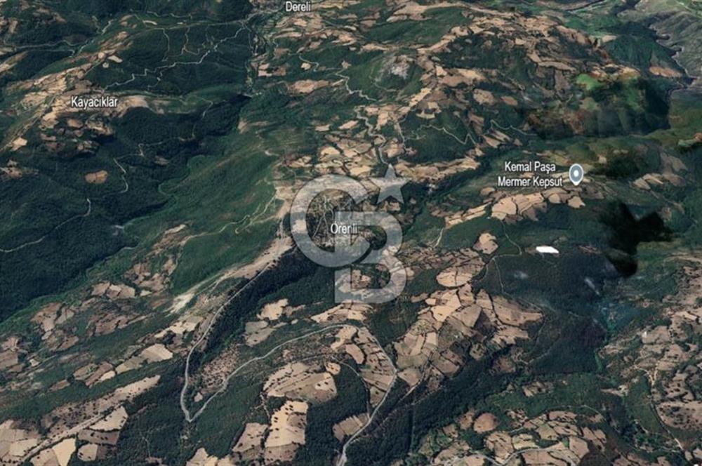 Balıkesir Kepsut Örenli'de 6.432 m² Yatırım Değeri Yüksek Arsa