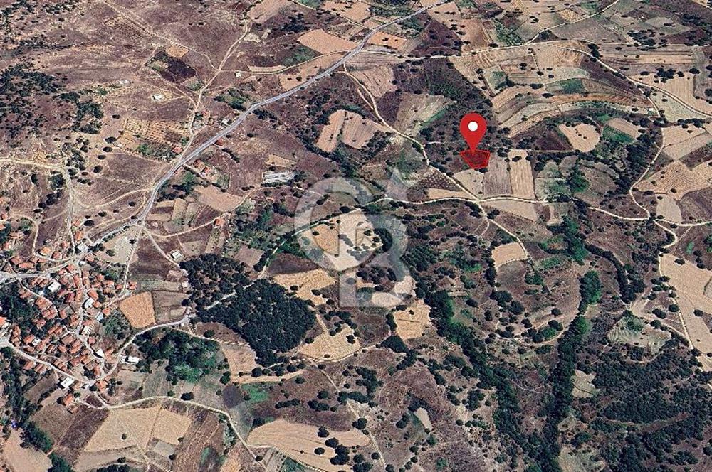 Gelişen Bölge, Değer Kazanan Tarla  | Orhaneli – Argın