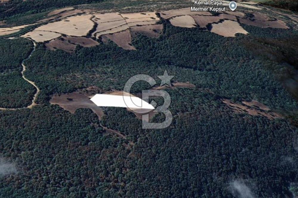 Balıkesir Kepsut Örenli'de 6.432 m² Yatırım Değeri Yüksek Arsa