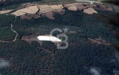 Balıkesir Kepsut Örenli'de 6.432 m² Yatırım Değeri Yüksek Arsa