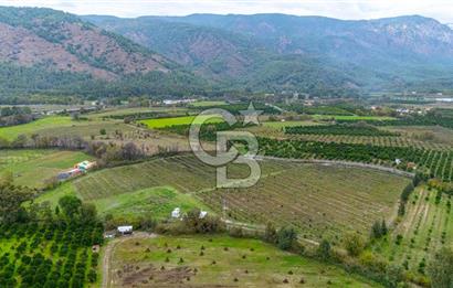 KÖYCEĞİZ TOPARLAR'DA MÜSTAKİL TAPULU 40 DÖNÜM TARLA