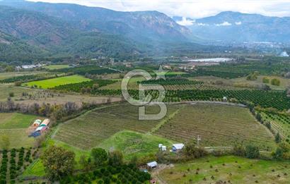 KÖYCEĞİZ TOPARLAR'DA MÜSTAKİL TAPULU 40 DÖNÜM TARLA