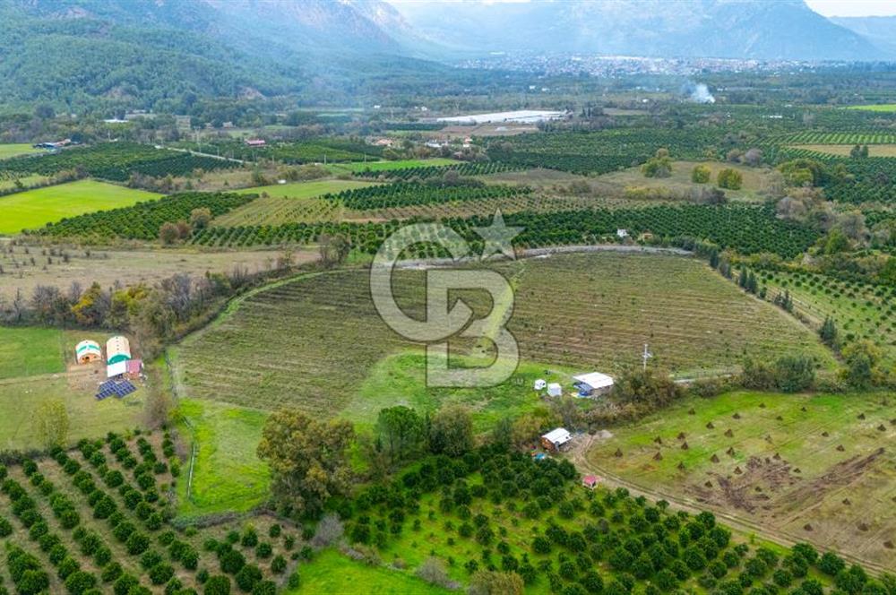 KÖYCEĞİZ TOPARLAR'DA MÜSTAKİL TAPULU 40 DÖNÜM TARLA