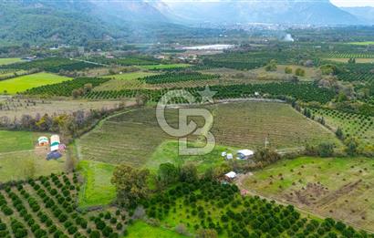 KÖYCEĞİZ TOPARLAR'DA MÜSTAKİL TAPULU 40 DÖNÜM TARLA