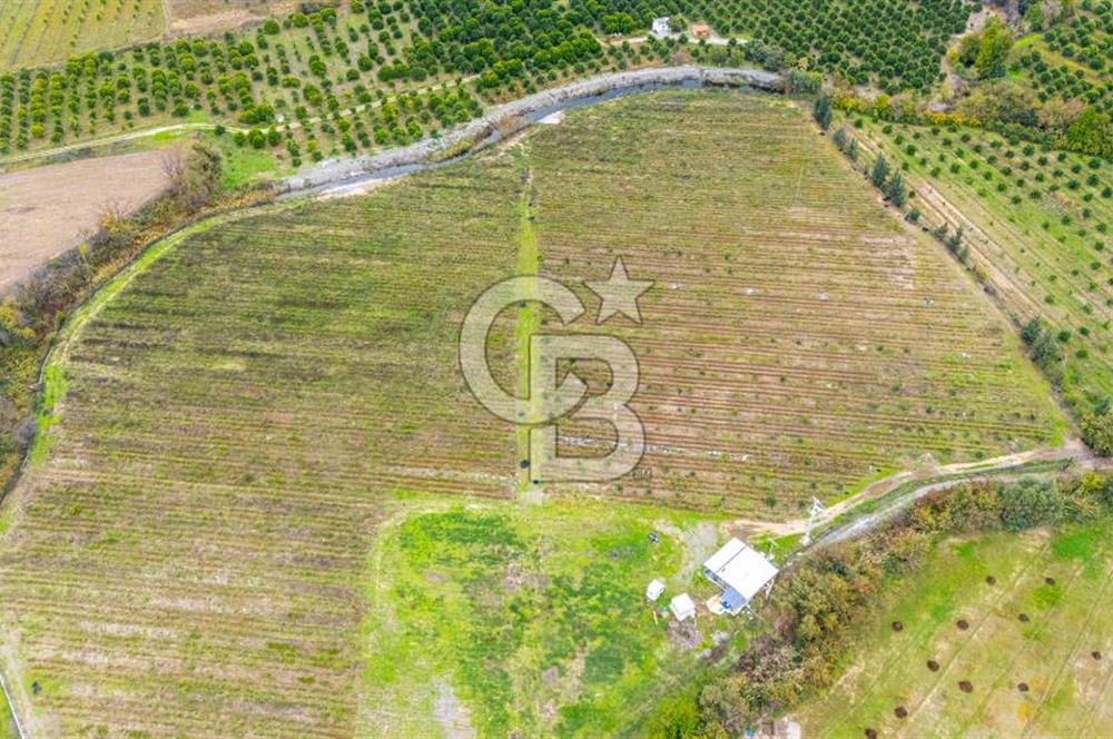 KÖYCEĞİZ TOPARLAR'DA MÜSTAKİL TAPULU 40 DÖNÜM TARLA