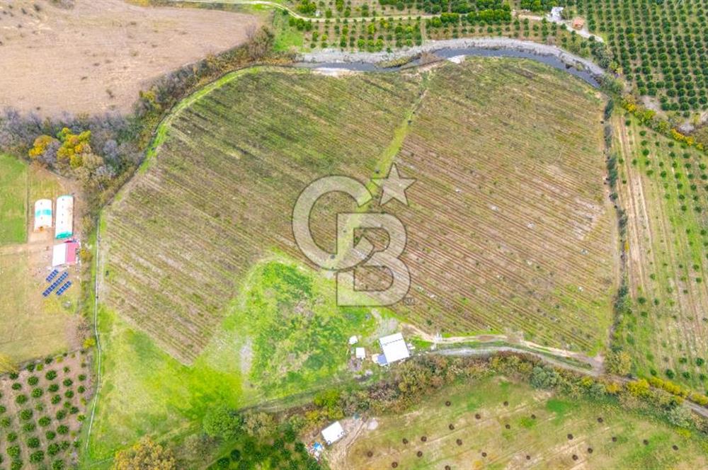 KÖYCEĞİZ TOPARLAR'DA MÜSTAKİL TAPULU 40 DÖNÜM TARLA