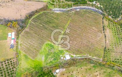 KÖYCEĞİZ TOPARLAR'DA MÜSTAKİL TAPULU 40 DÖNÜM TARLA