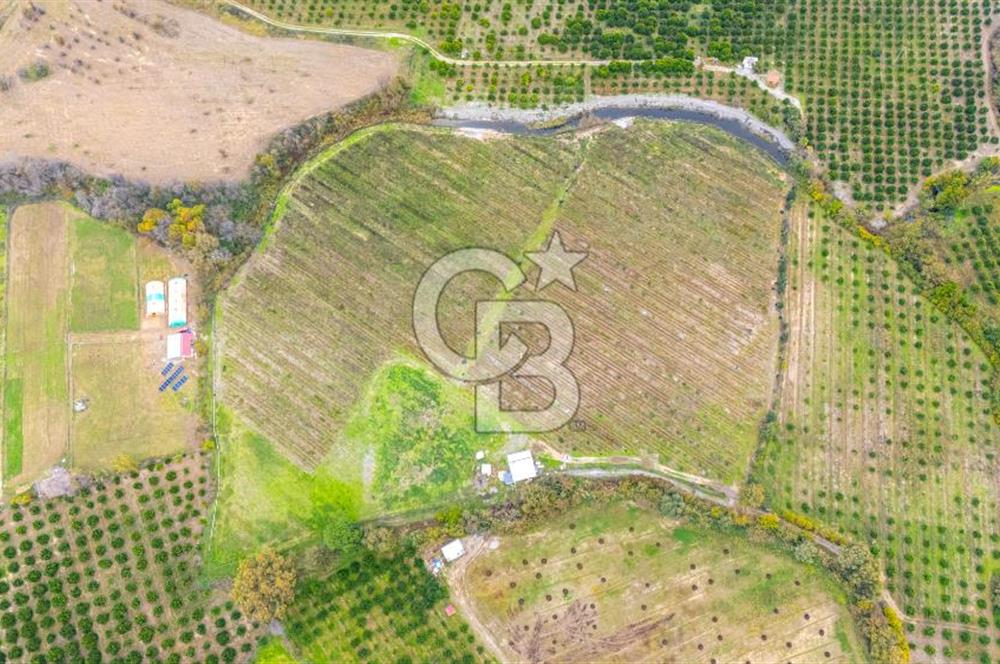 KÖYCEĞİZ TOPARLAR'DA MÜSTAKİL TAPULU 40 DÖNÜM TARLA