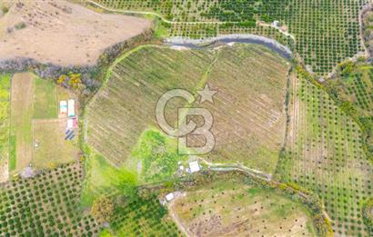 KÖYCEĞİZ TOPARLAR'DA MÜSTAKİL TAPULU 40 DÖNÜM TARLA