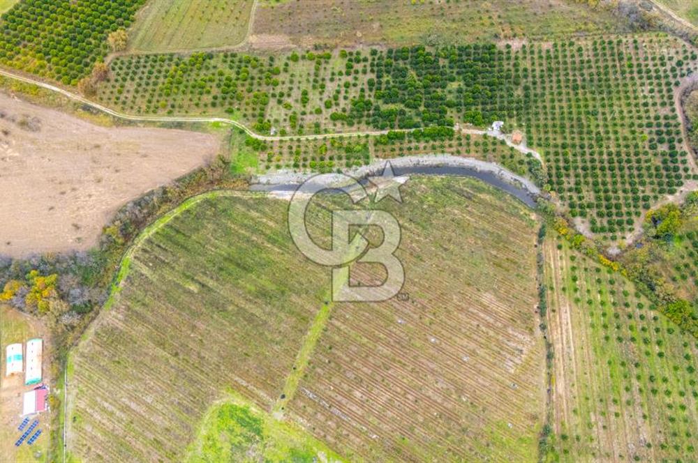 KÖYCEĞİZ TOPARLAR'DA MÜSTAKİL TAPULU 40 DÖNÜM TARLA