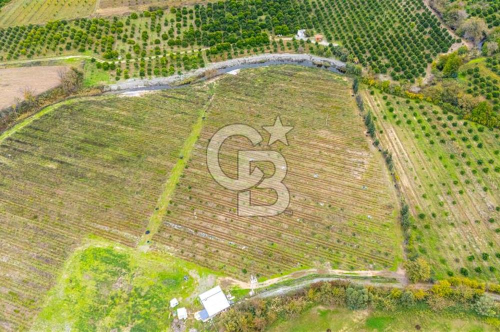 KÖYCEĞİZ TOPARLAR'DA MÜSTAKİL TAPULU 40 DÖNÜM TARLA