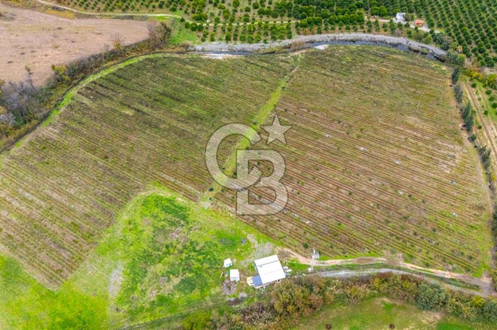 KÖYCEĞİZ TOPARLAR'DA MÜSTAKİL TAPULU 40 DÖNÜM TARLA