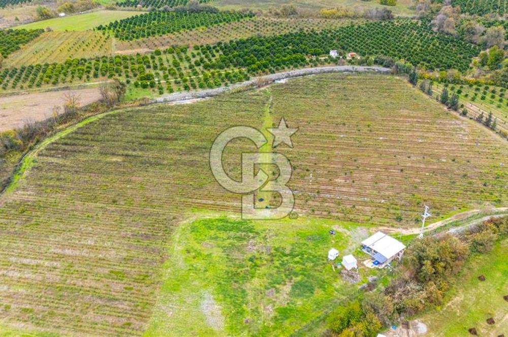 KÖYCEĞİZ TOPARLAR'DA MÜSTAKİL TAPULU 40 DÖNÜM TARLA