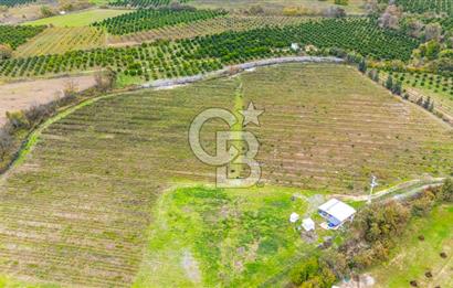 KÖYCEĞİZ TOPARLAR'DA MÜSTAKİL TAPULU 40 DÖNÜM TARLA