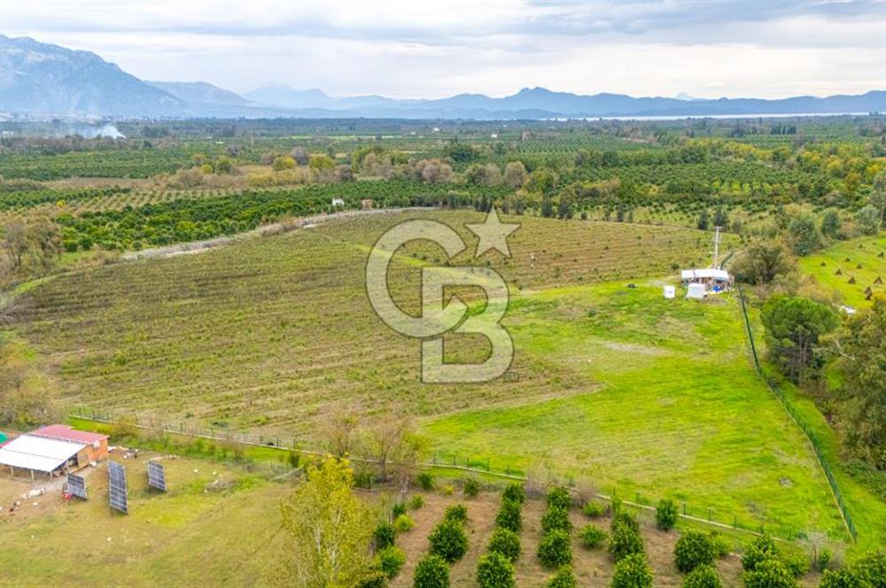 KÖYCEĞİZ TOPARLAR'DA MÜSTAKİL TAPULU 40 DÖNÜM TARLA