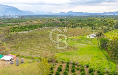 KÖYCEĞİZ TOPARLAR'DA MÜSTAKİL TAPULU 40 DÖNÜM TARLA