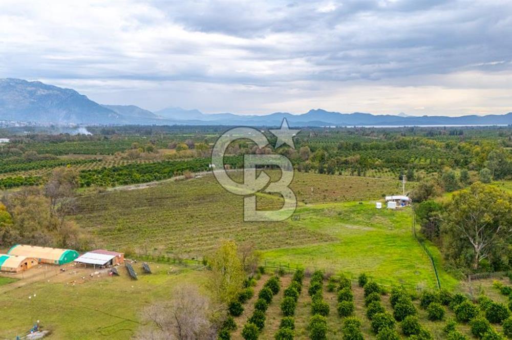 KÖYCEĞİZ TOPARLAR'DA MÜSTAKİL TAPULU 40 DÖNÜM TARLA