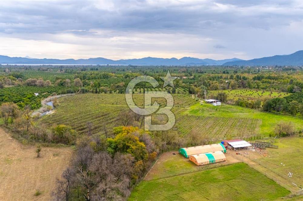 KÖYCEĞİZ TOPARLAR'DA MÜSTAKİL TAPULU 40 DÖNÜM TARLA