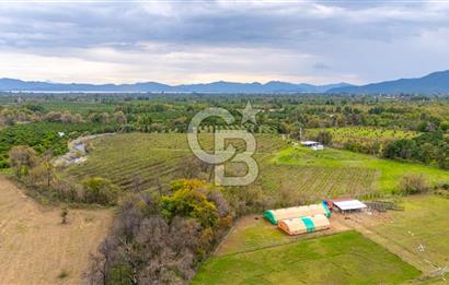 KÖYCEĞİZ TOPARLAR'DA MÜSTAKİL TAPULU 40 DÖNÜM TARLA
