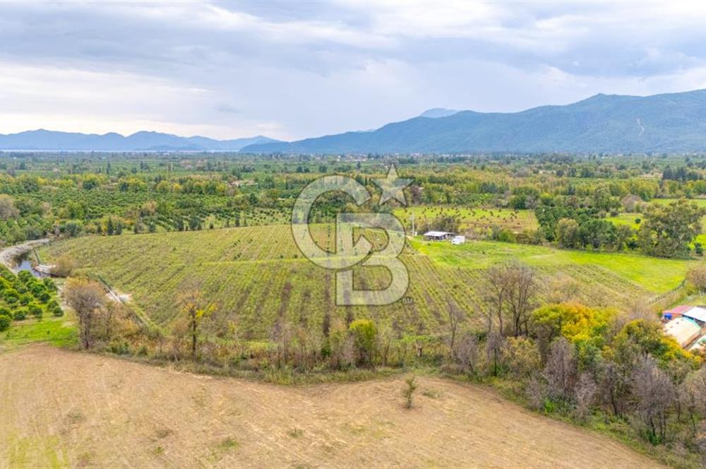 KÖYCEĞİZ TOPARLAR'DA MÜSTAKİL TAPULU 40 DÖNÜM TARLA