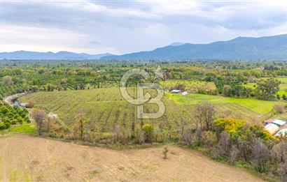 KÖYCEĞİZ TOPARLAR'DA MÜSTAKİL TAPULU 40 DÖNÜM TARLA