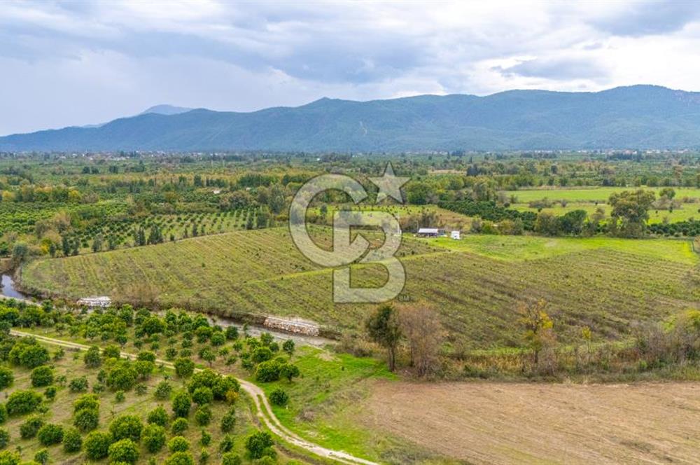 KÖYCEĞİZ TOPARLAR'DA MÜSTAKİL TAPULU 40 DÖNÜM TARLA