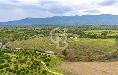 KÖYCEĞİZ TOPARLAR'DA MÜSTAKİL TAPULU 40 DÖNÜM TARLA