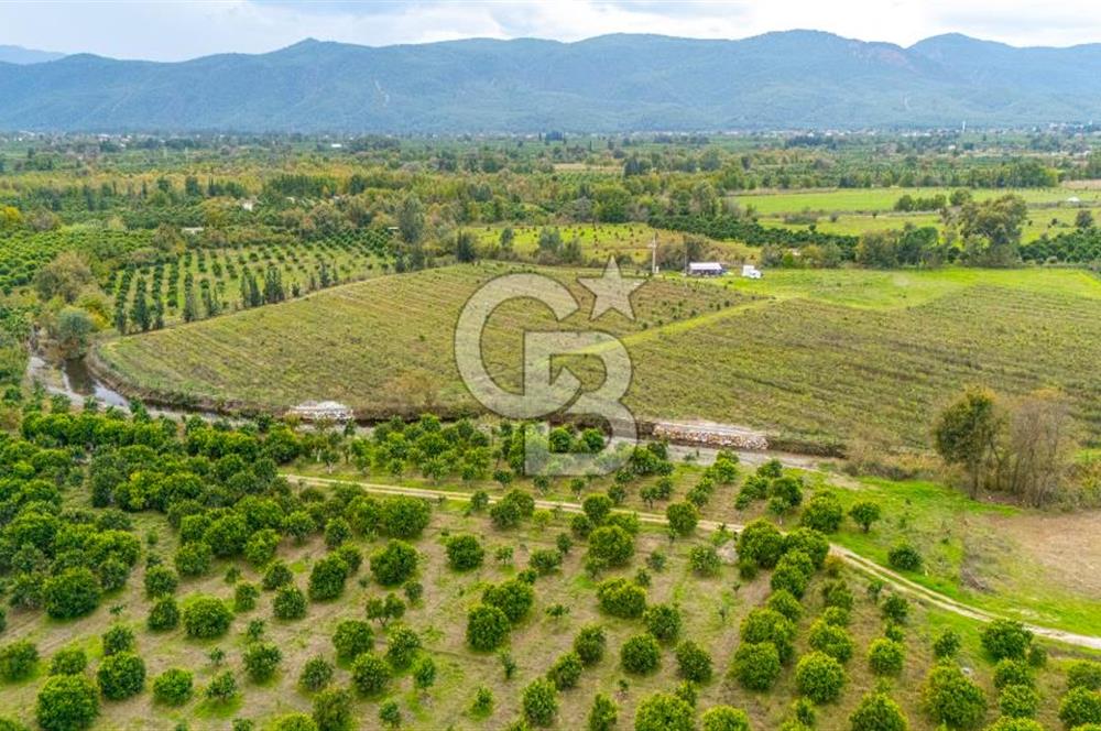 KÖYCEĞİZ TOPARLAR'DA MÜSTAKİL TAPULU 40 DÖNÜM TARLA