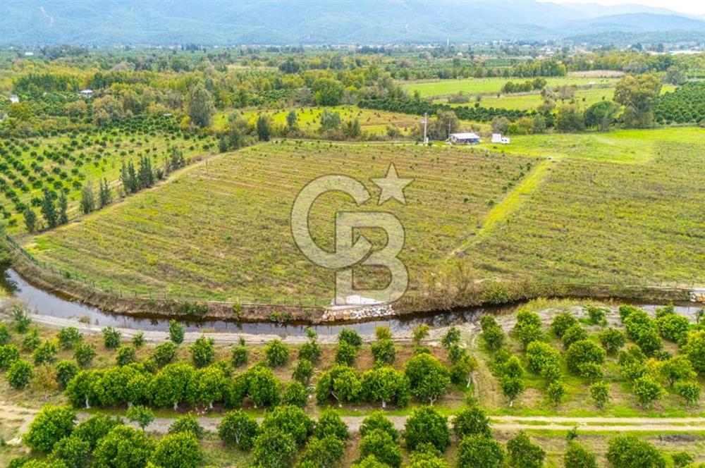 KÖYCEĞİZ TOPARLAR'DA MÜSTAKİL TAPULU 40 DÖNÜM TARLA