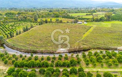 KÖYCEĞİZ TOPARLAR'DA MÜSTAKİL TAPULU 40 DÖNÜM TARLA