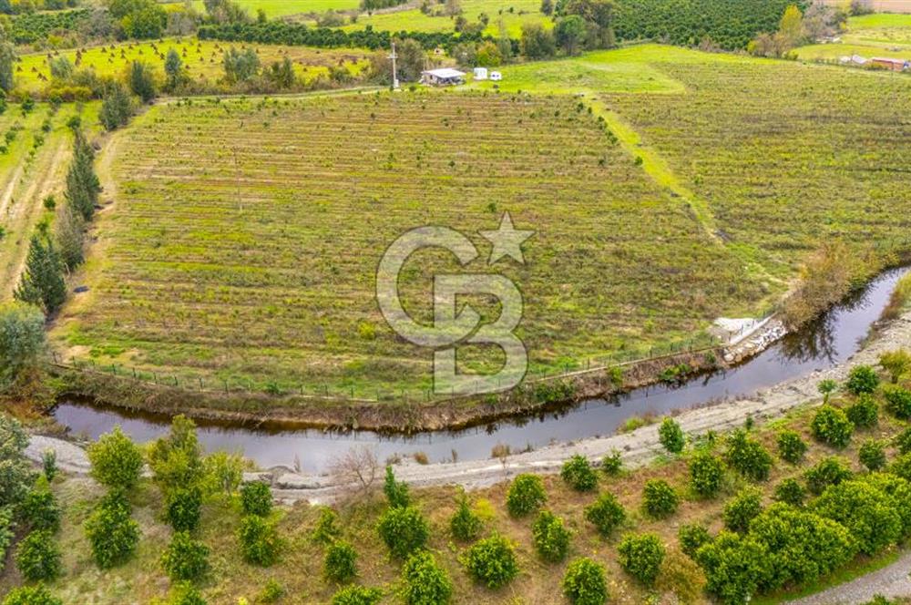 KÖYCEĞİZ TOPARLAR'DA MÜSTAKİL TAPULU 40 DÖNÜM TARLA