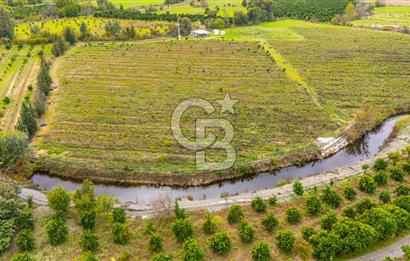KÖYCEĞİZ TOPARLAR'DA MÜSTAKİL TAPULU 40 DÖNÜM TARLA
