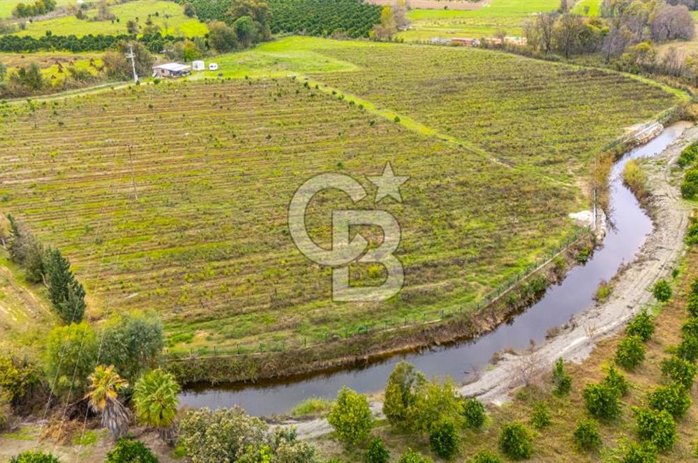 KÖYCEĞİZ TOPARLAR'DA MÜSTAKİL TAPULU 40 DÖNÜM TARLA