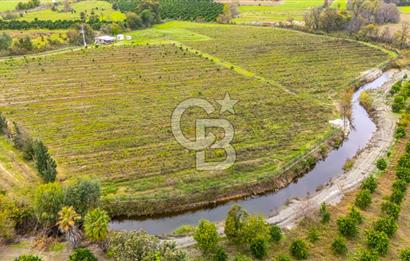 KÖYCEĞİZ TOPARLAR'DA MÜSTAKİL TAPULU 40 DÖNÜM TARLA
