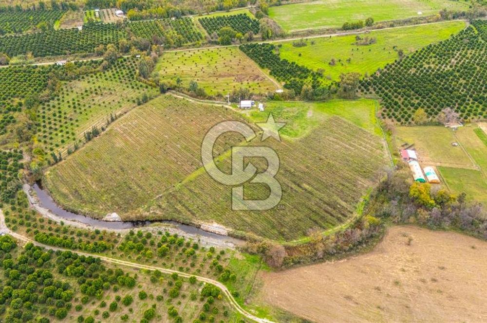 KÖYCEĞİZ TOPARLAR'DA MÜSTAKİL TAPULU 40 DÖNÜM TARLA