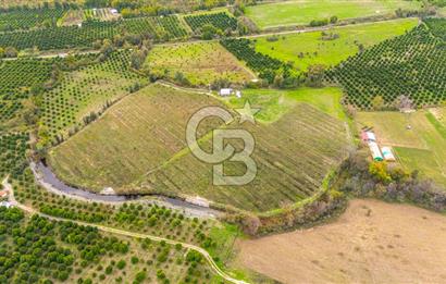 KÖYCEĞİZ TOPARLAR'DA MÜSTAKİL TAPULU 40 DÖNÜM TARLA