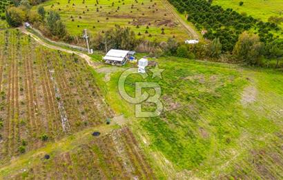 KÖYCEĞİZ TOPARLAR'DA MÜSTAKİL TAPULU 40 DÖNÜM TARLA